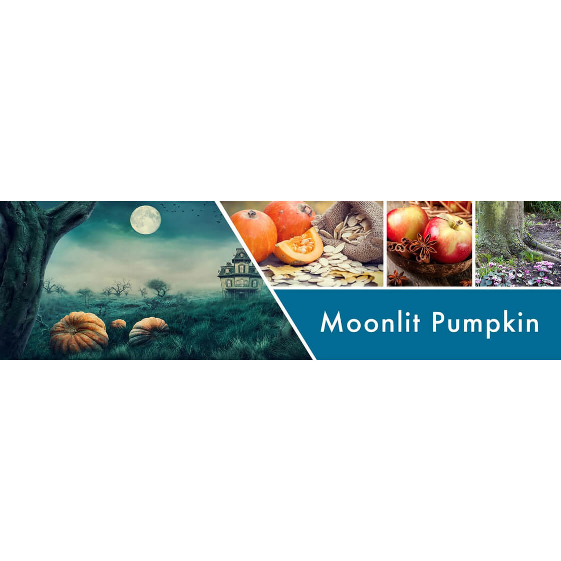 Moonlit Pumpkin 453g