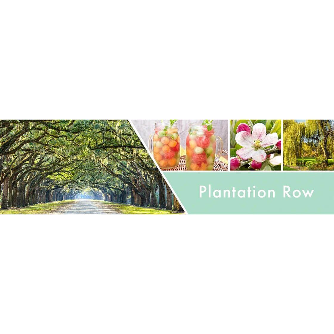 plantation-row-2-docht-kerze-680g-1 Plantation Row 680g