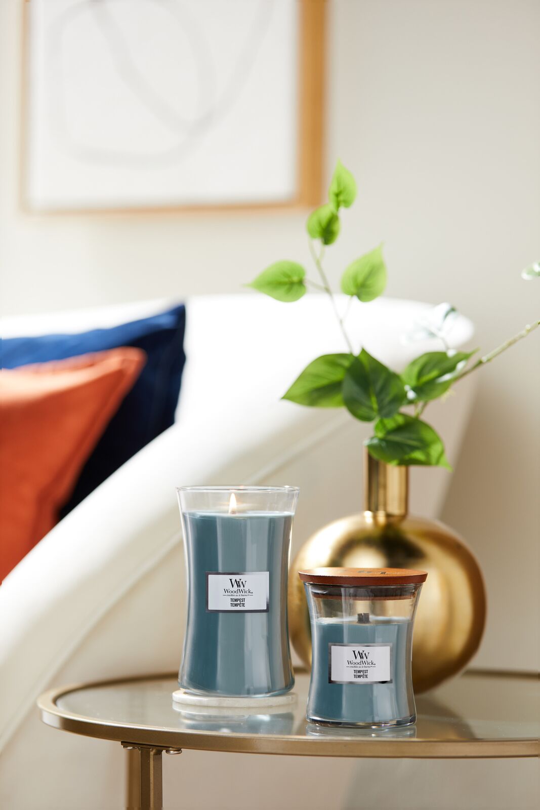 233285373_001 Tempest 275g