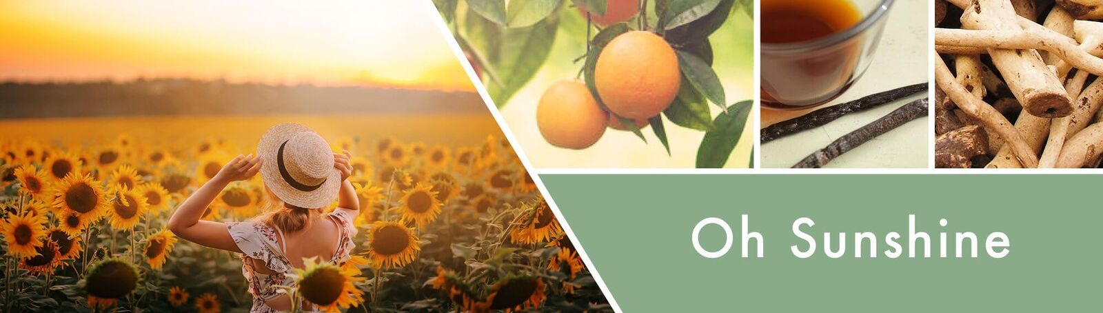 Oh-Sunshine-Fragrancev1KeTHE63AHZg Oh Sunshine 411g