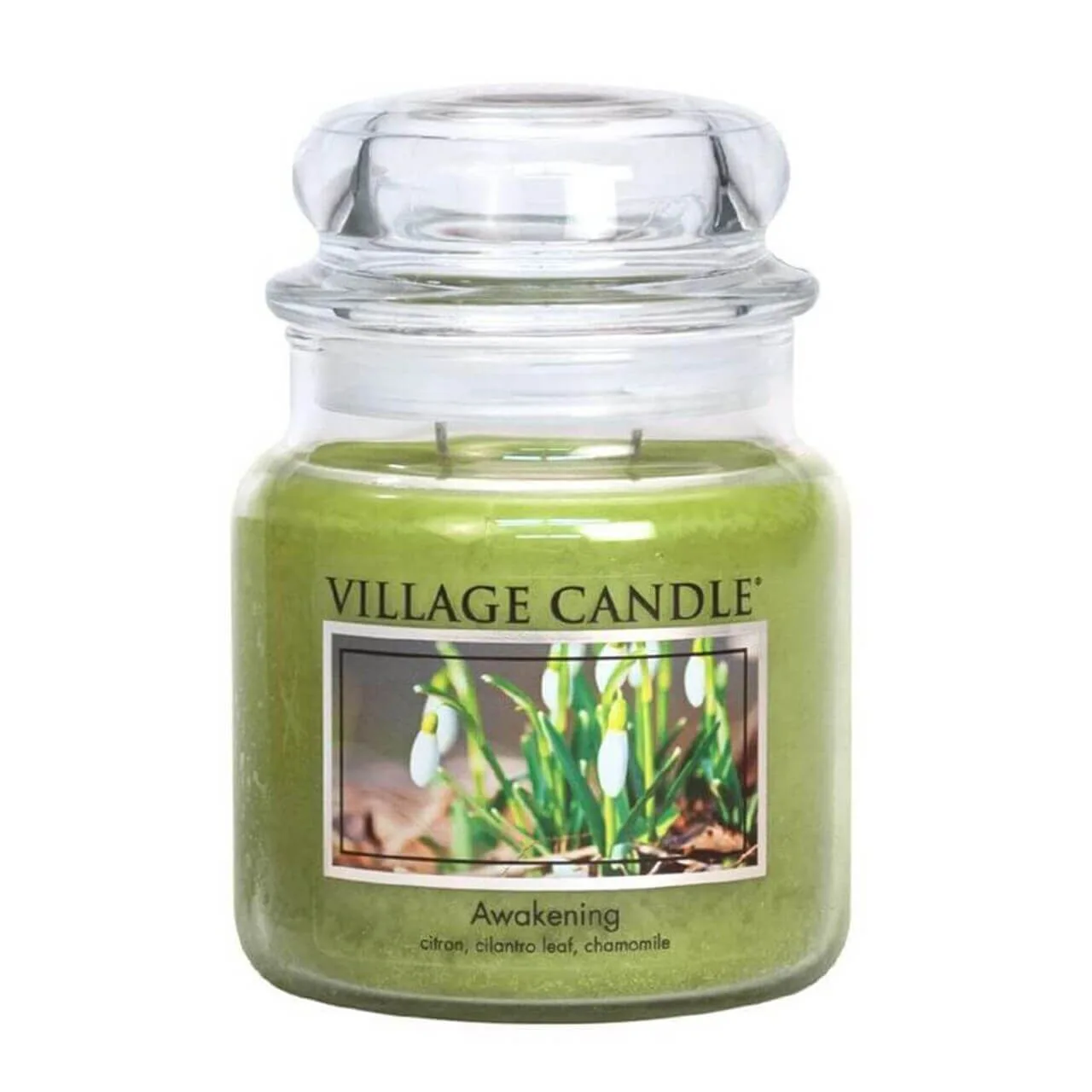 awakeningyMeG1uP4U7sxS Awakening 389g