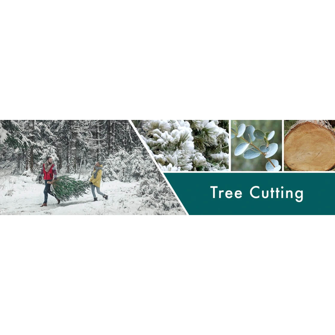 Tree Cutting 411g (3-Docht)