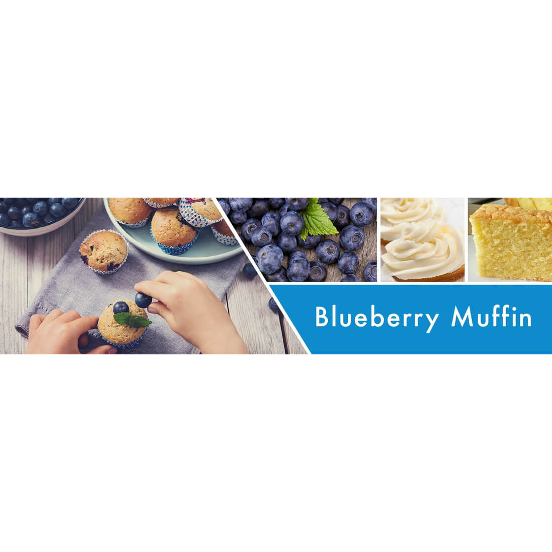 Blueberry Muffin 680g
