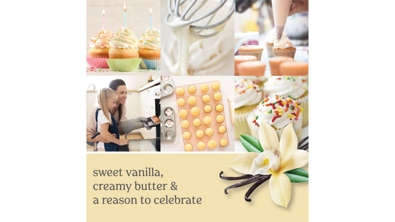 Vanilla Cupcake 623g