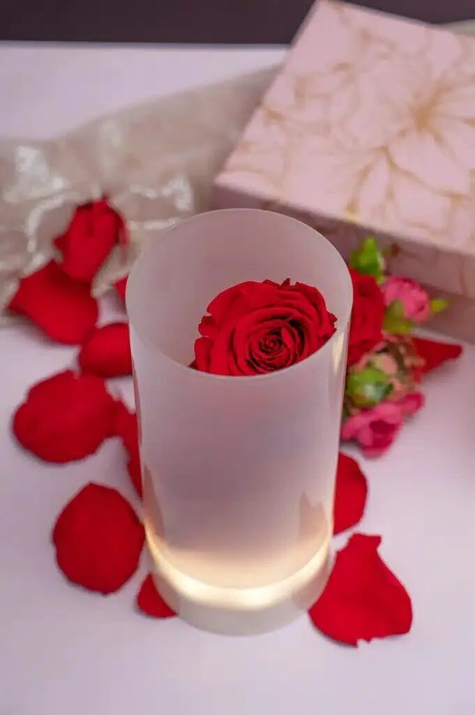 tanalo-glasvase-satiniert-mm-oben Glasvase Tanalo LED satiniert 20cm