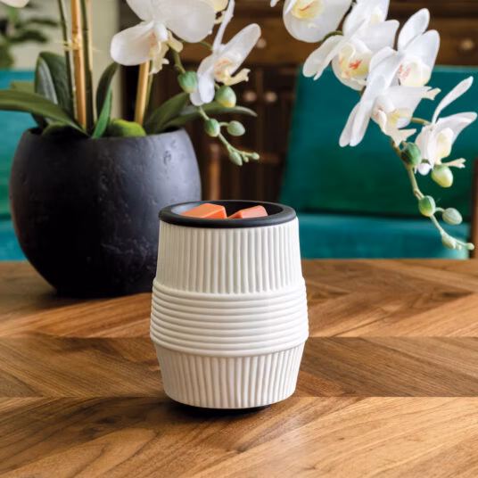 Porcelain Ridge Duftlampe elektrisch mit Silikon Schale Flip Dish Porcelain Ridge Duftlampe elektrisch mit Silikon Schale Flip Dish