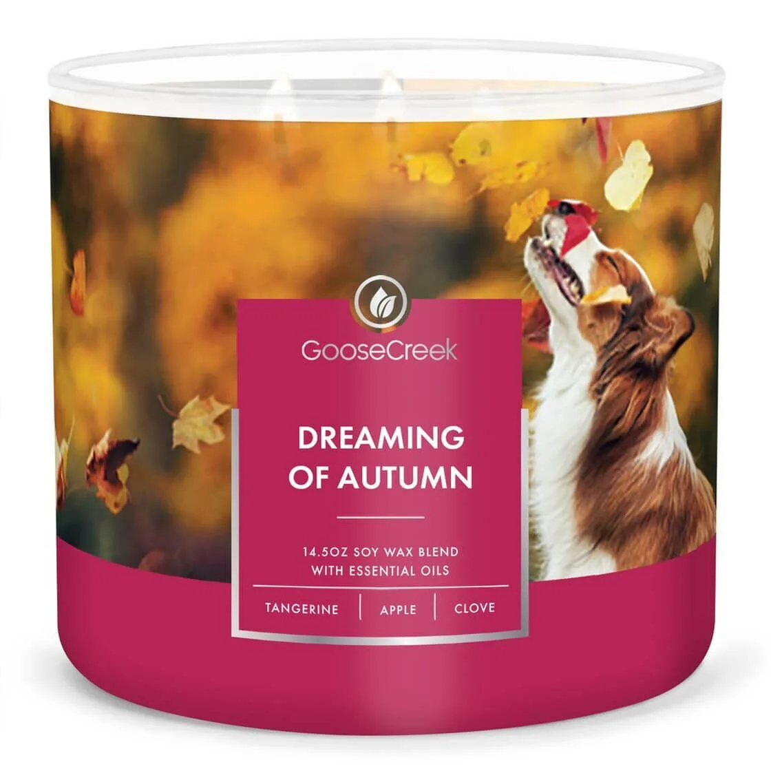 dreaming-of-autumn-3-docht-kerze-411g Dreaming of Autumn 411g (3-Docht)