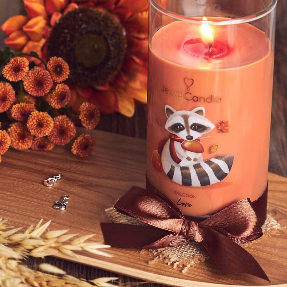 2374777011ce53a182cde702d587b8c2ecd3b156_51523880654_13d72d9307_o_2048x Racoon Love (Charm-Anhänger) 400g