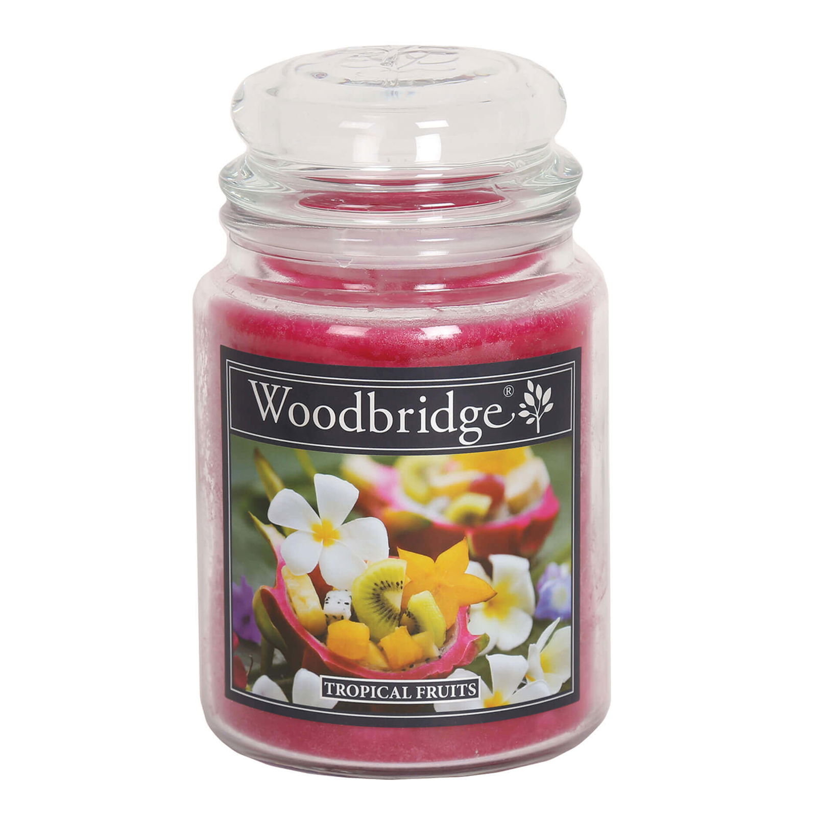Tropical Fruits 565g