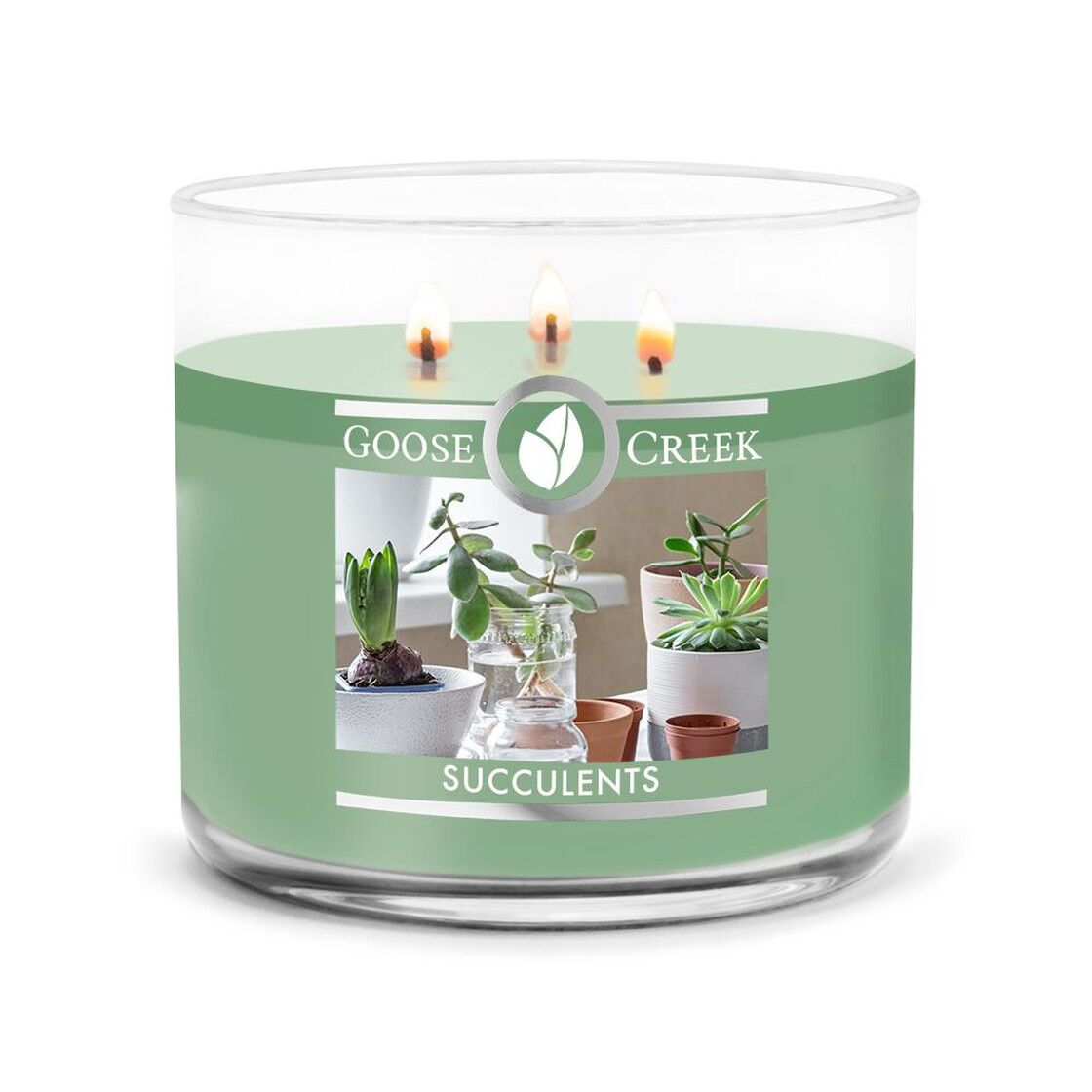 succulents-3-docht-kerze-411g Succulents 411g (3-Docht)