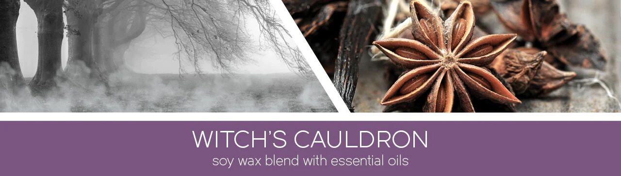 witch-s-cauldron-hc15-nl-banner23 Witch`s Cauldron 411g (3-Docht)