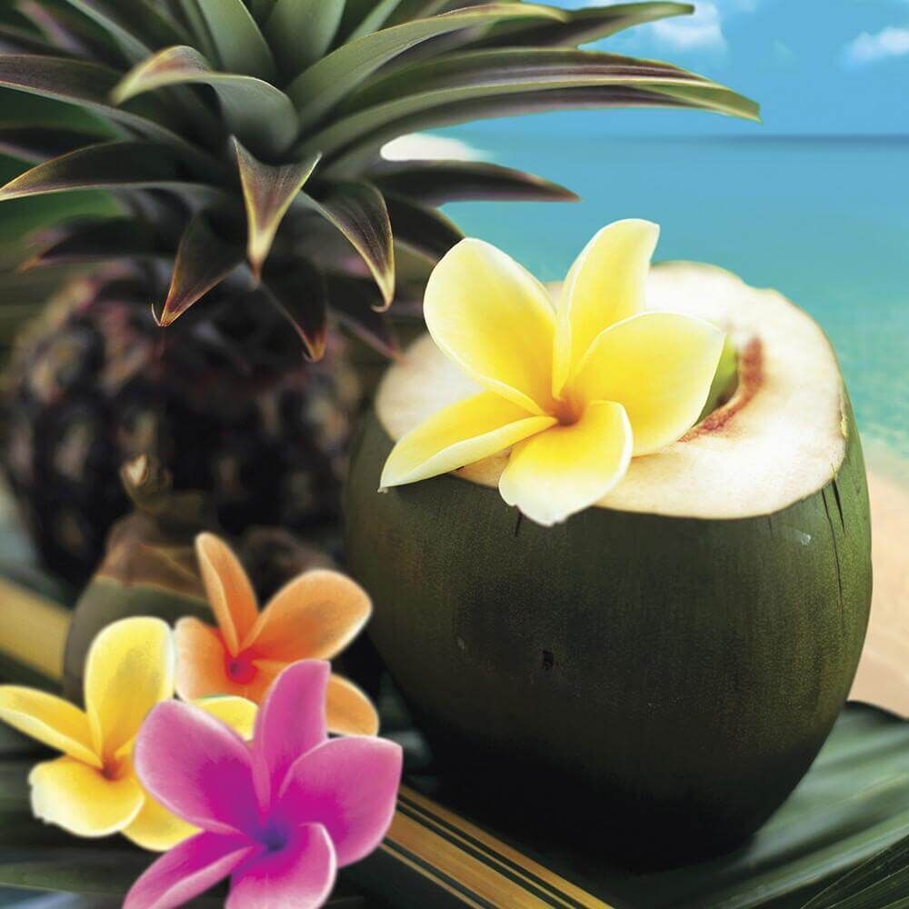 Village-Candle-Tropical-Getaway Village Candle Tropical Getaway