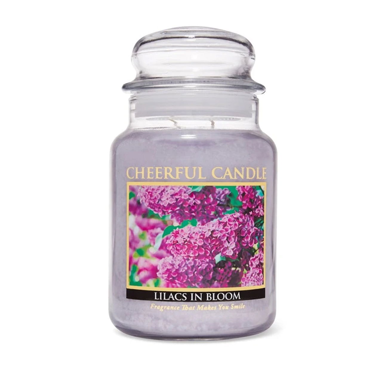 Lilacs in Bloom 680g