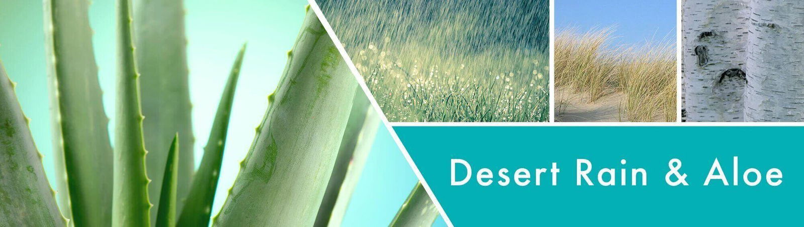 Desert Rain & Aloe 198g (1-Docht)