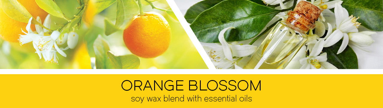 Orange Blossom 411g (3-Docht)