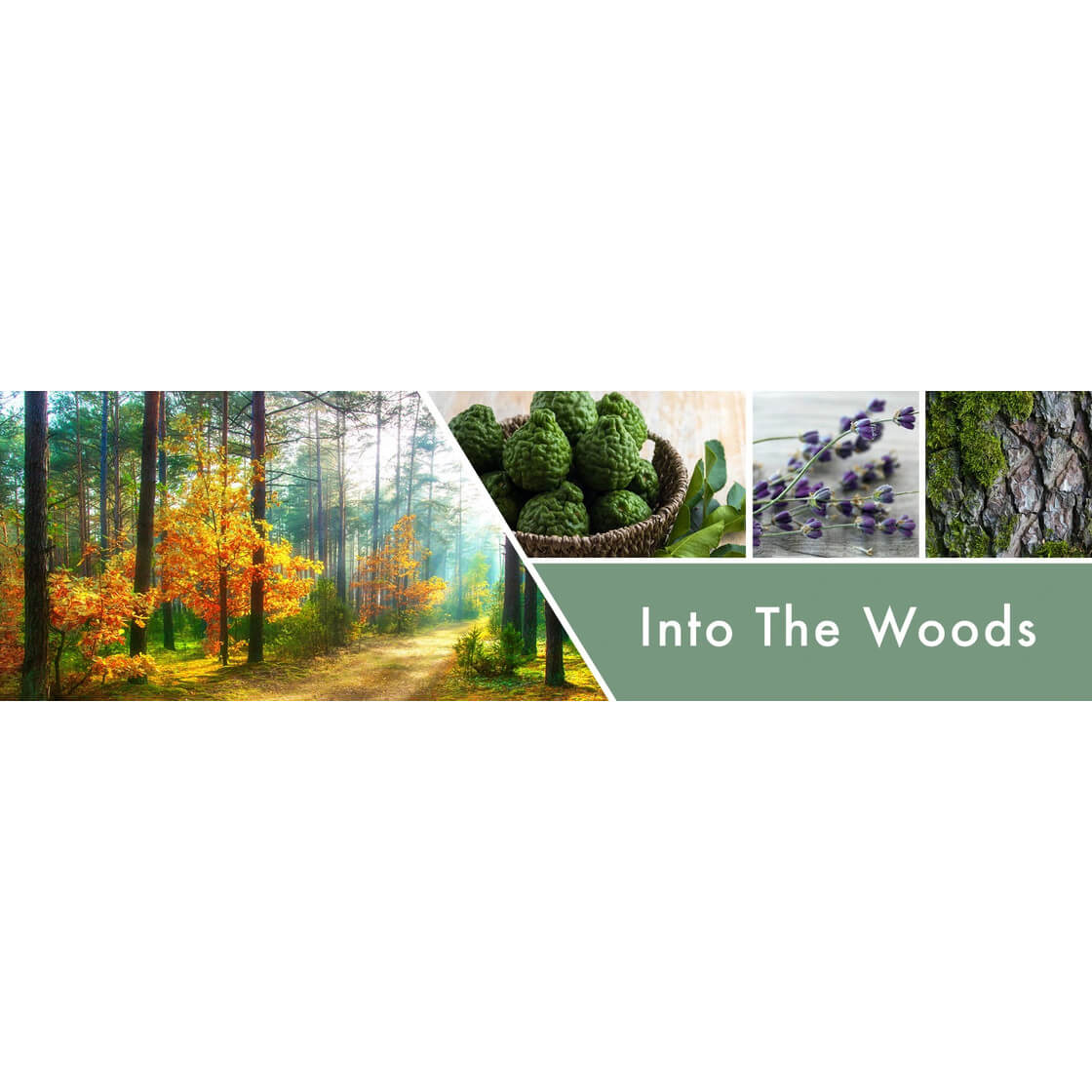 Into the Woods 411g (3-Docht)