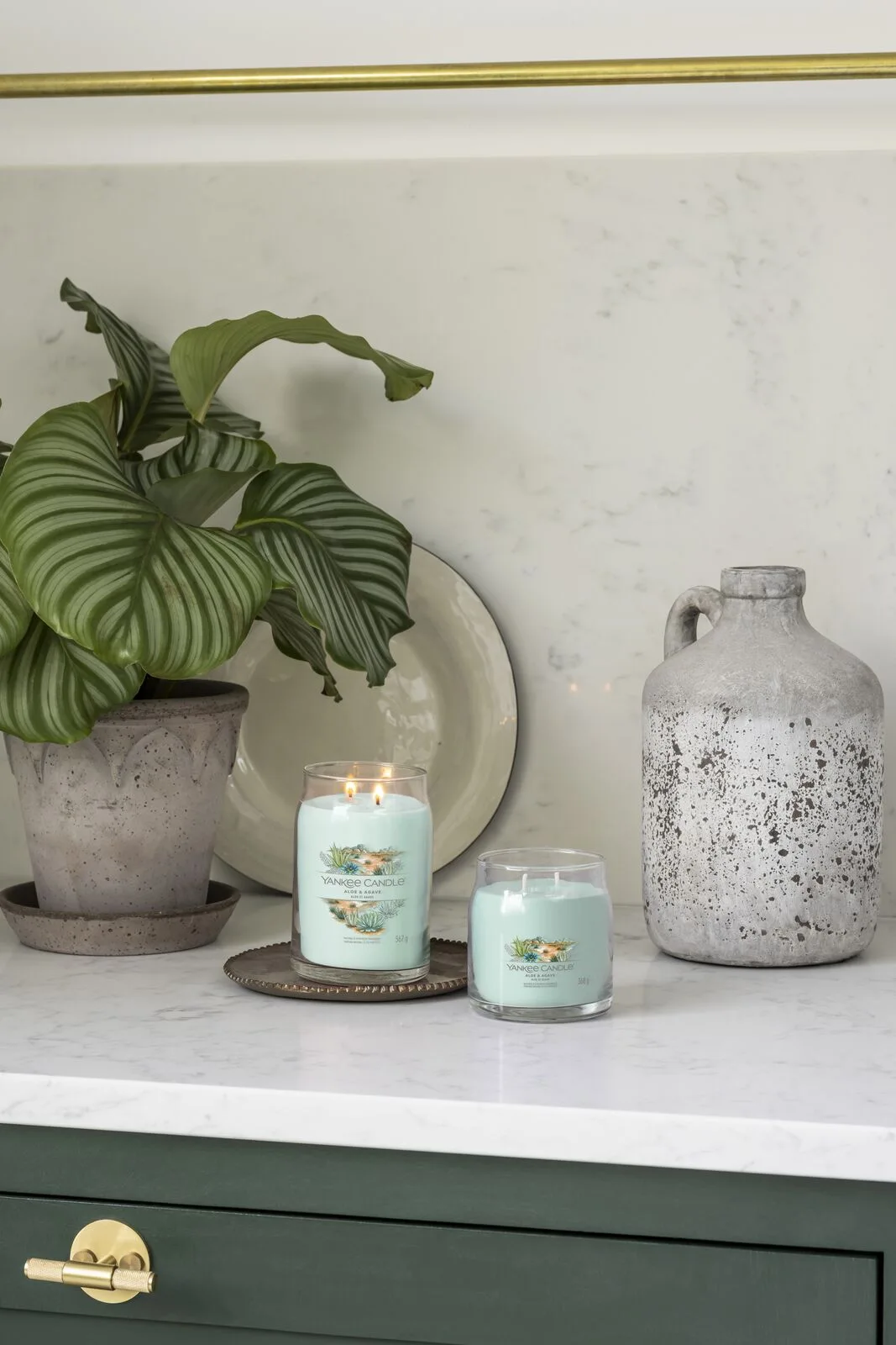 Aloe-and-Agave_Large_Med Aloe & Agave Signature Large Jar 567g 2-Docht