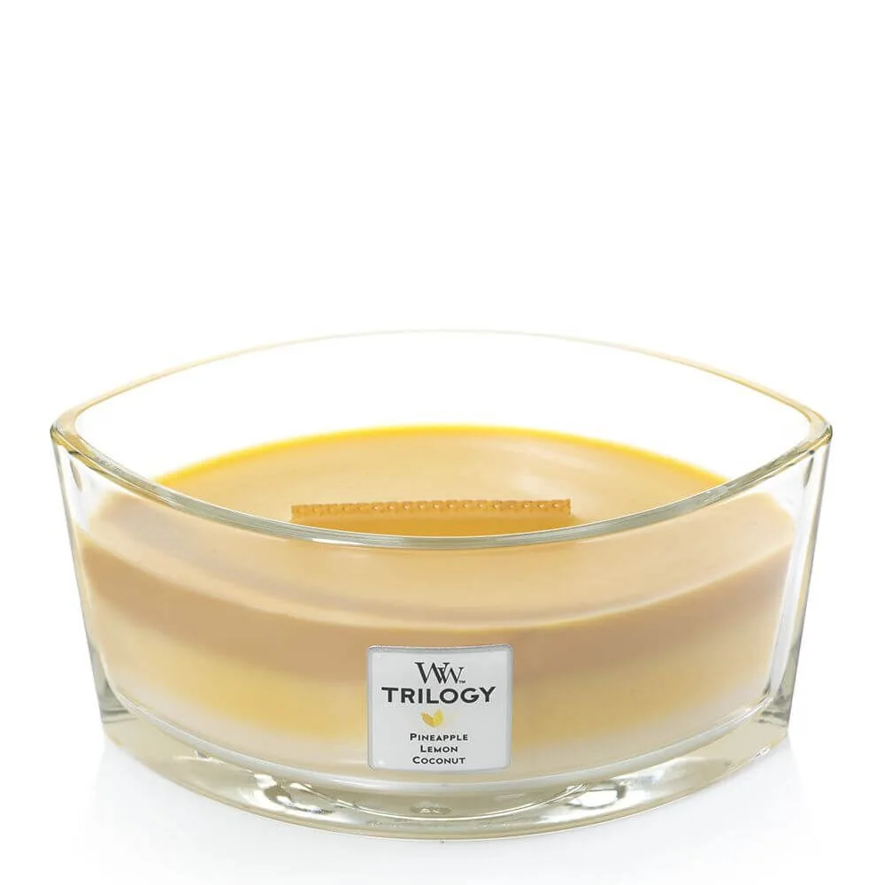 76958_w-o-Lid Fruits of Summer 454g