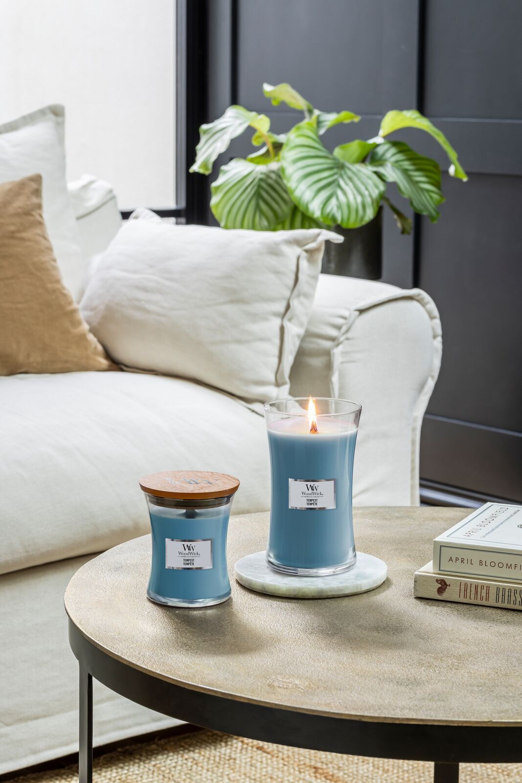 TEMPEST_018 Tempest 275g