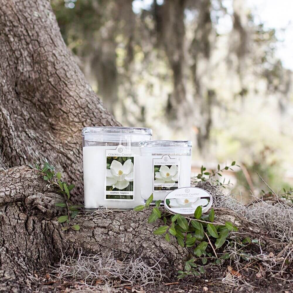 CC14_AAFES_Feature_SouthernMagnolia_3 Colonial Candle Southern Magnolia 226g