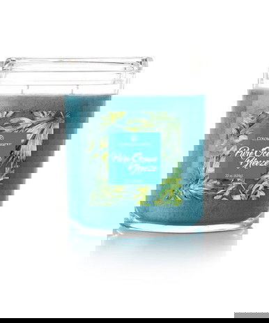Pure Ocean 226g