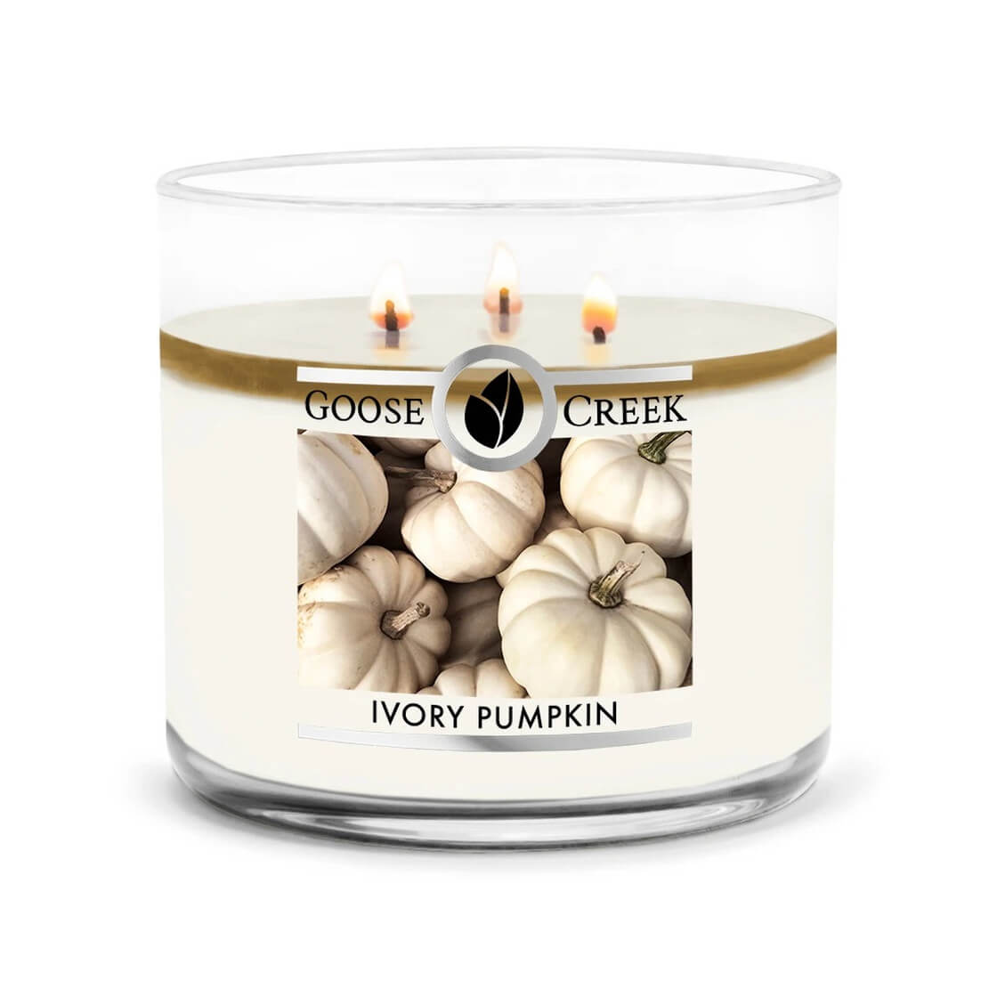 Ivory Pumpkin 453g