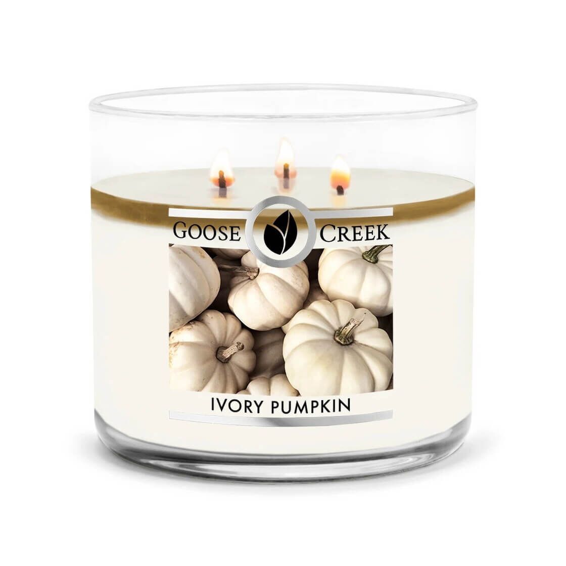 ivory-pumpkin-3-docht-kerze-411g Ivory Pumpkin 453g