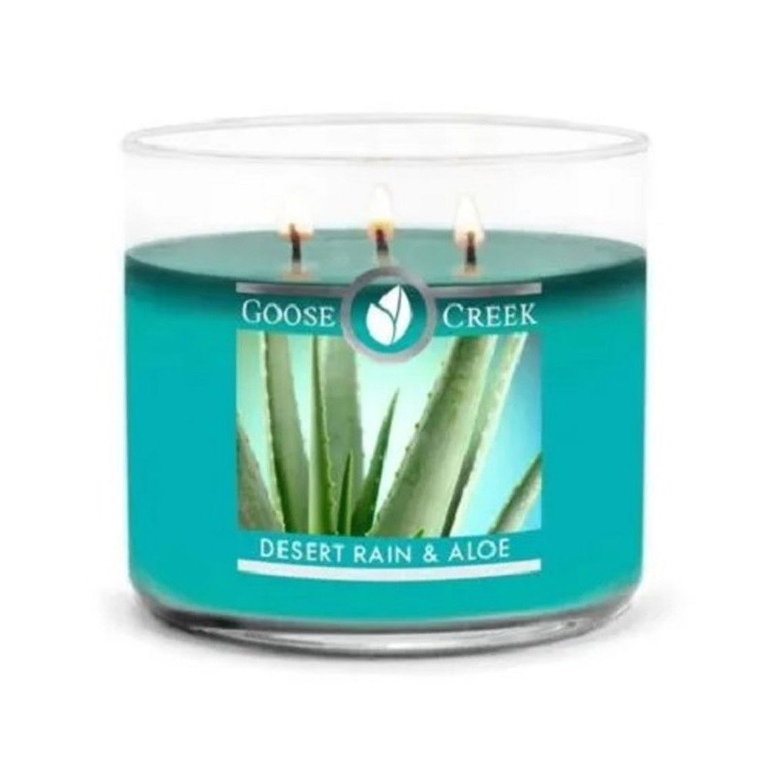 Desert Rain & Aloe 411g (3-Docht)