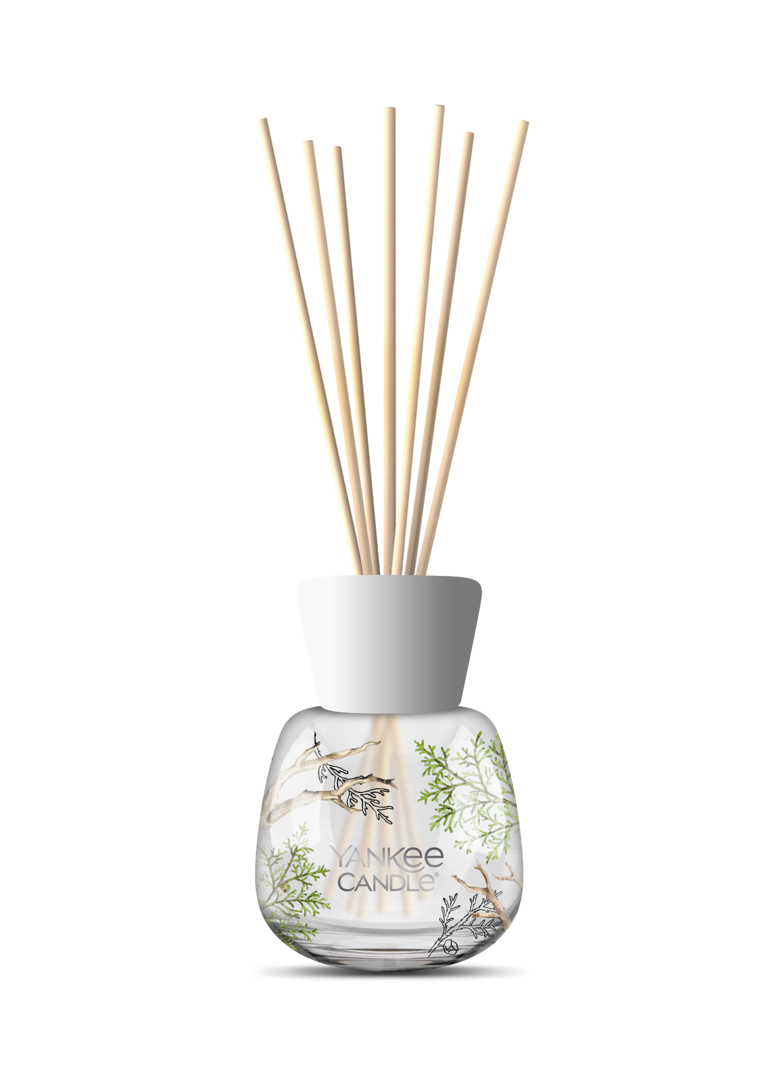 Bayside Cedar Signature Reed Diffuser 100ml