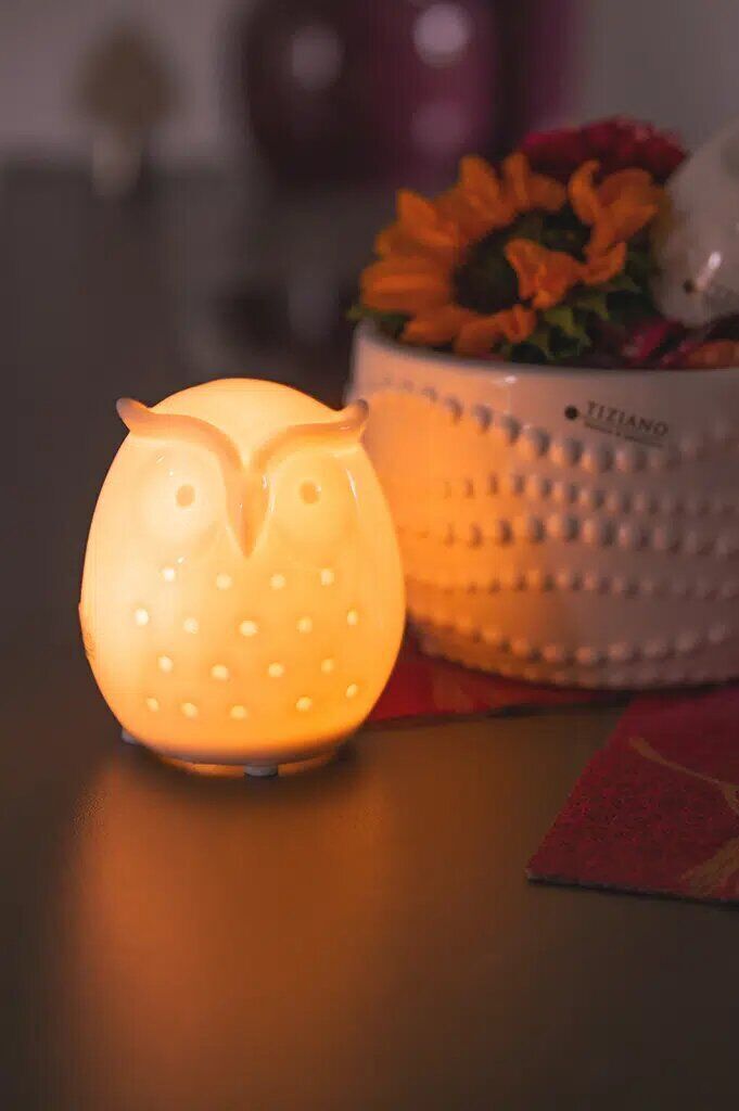 arida-breit-led-porzellan-produktbild Eule Arida breit LED 9cm cremeweiß