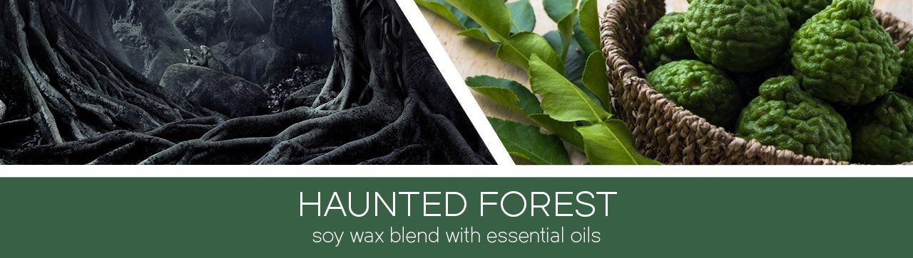 Haunted Forest 411g (3-Docht)