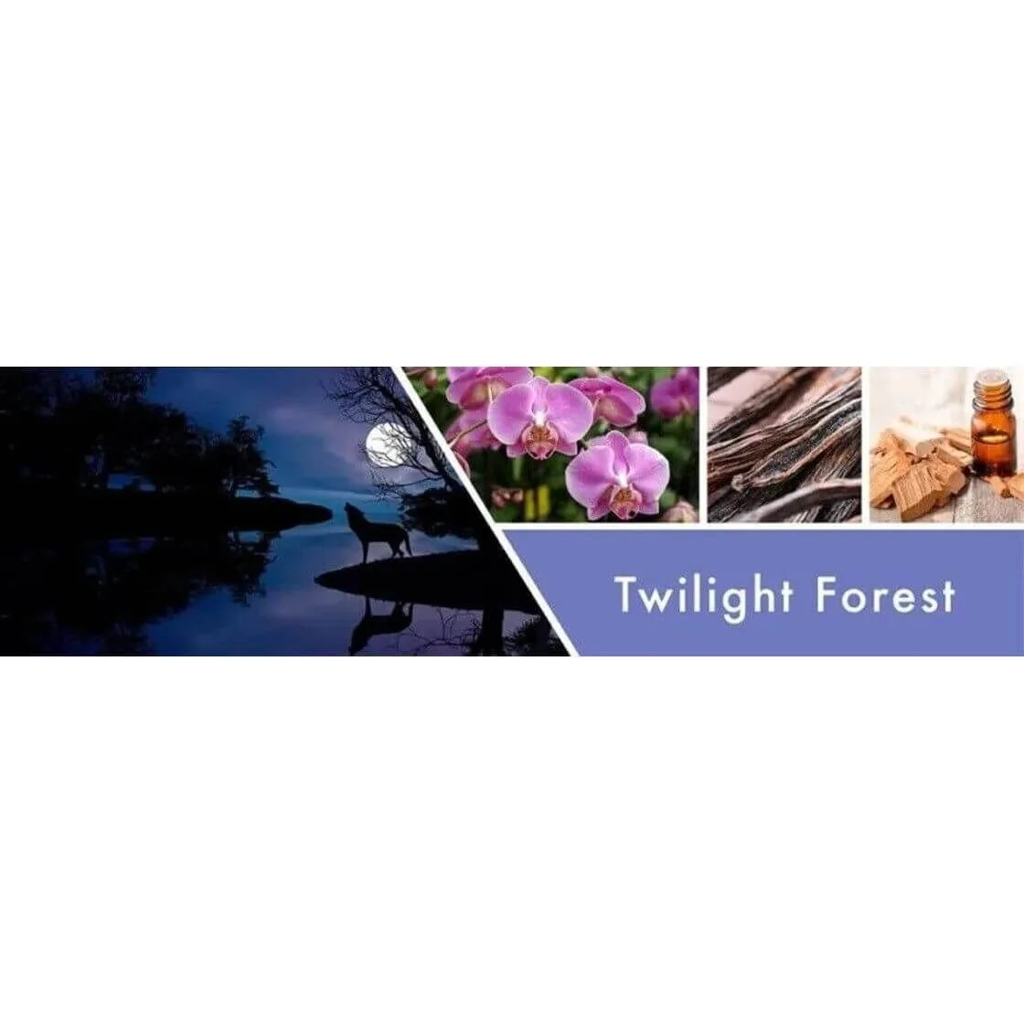 twilight-forest-tumbler-453g-2 Twilight Forest 2-Docht Tumbler 453g