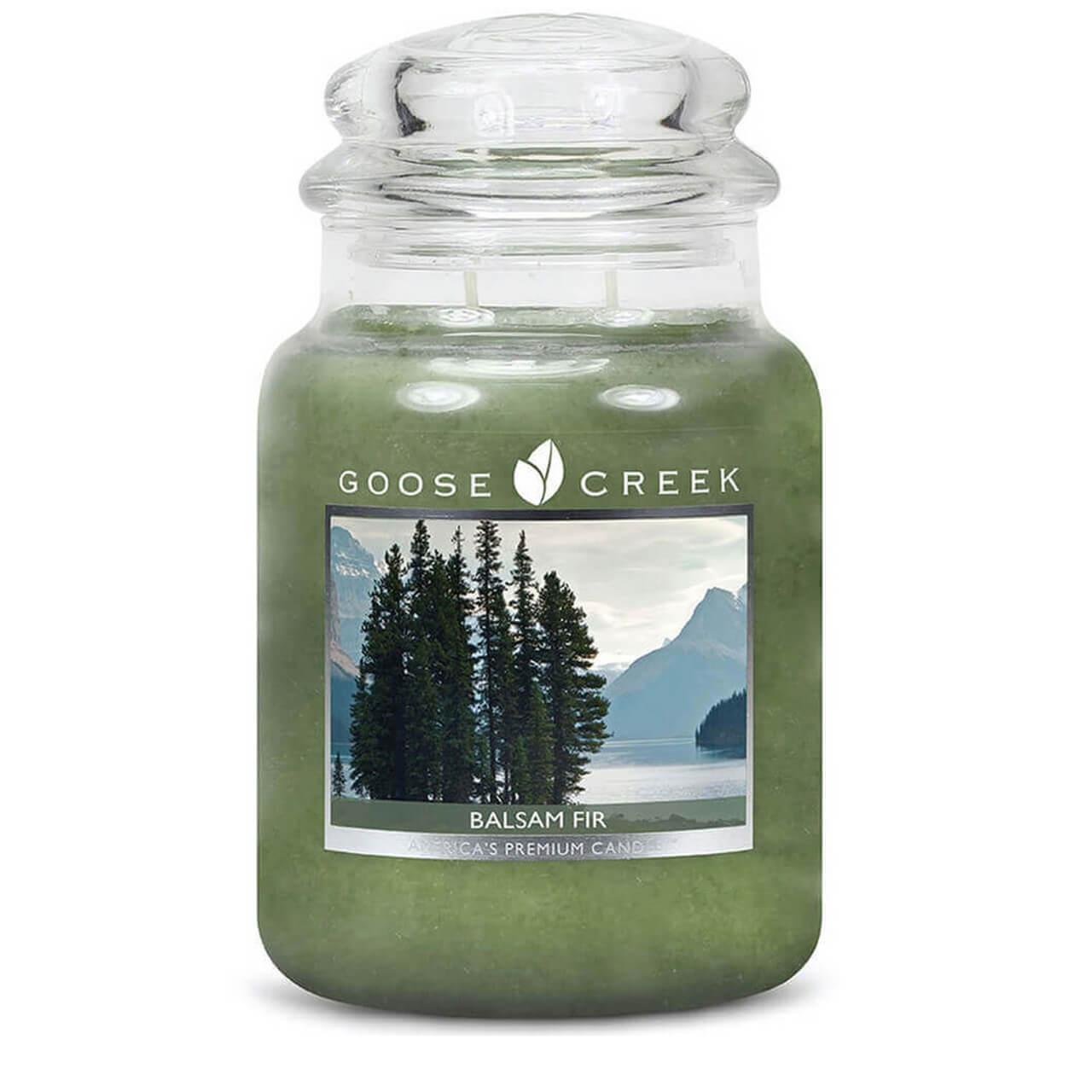 Balsam Fir 680g