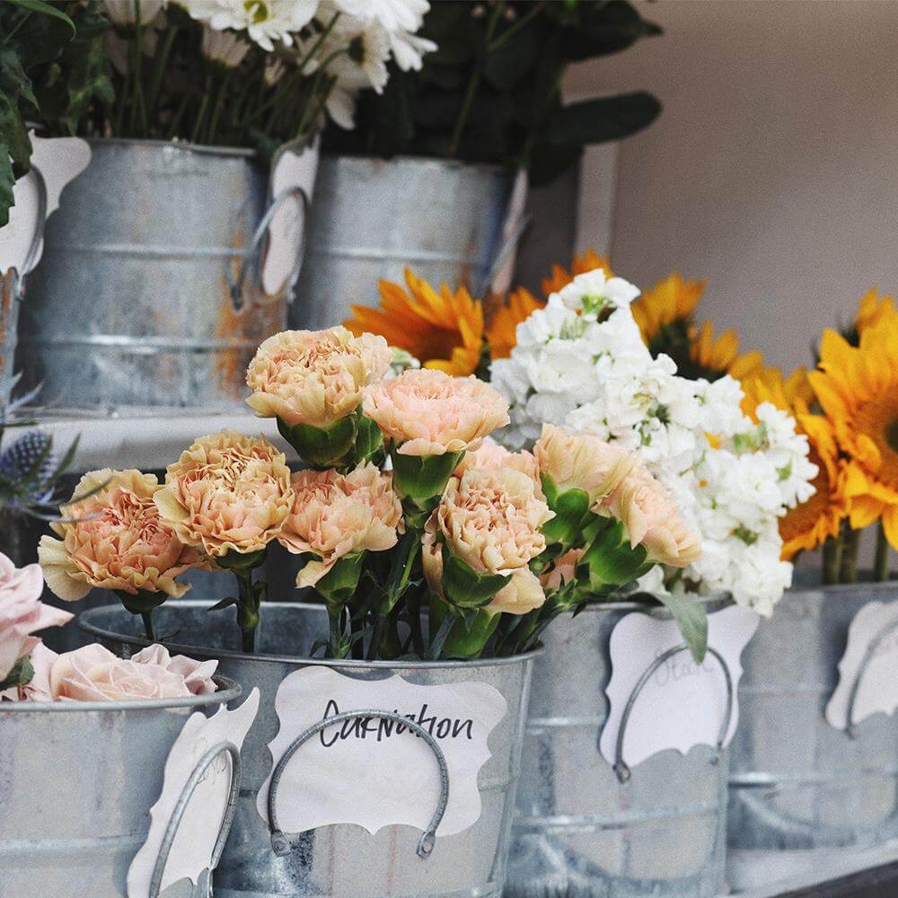 English Flower Shop 602g