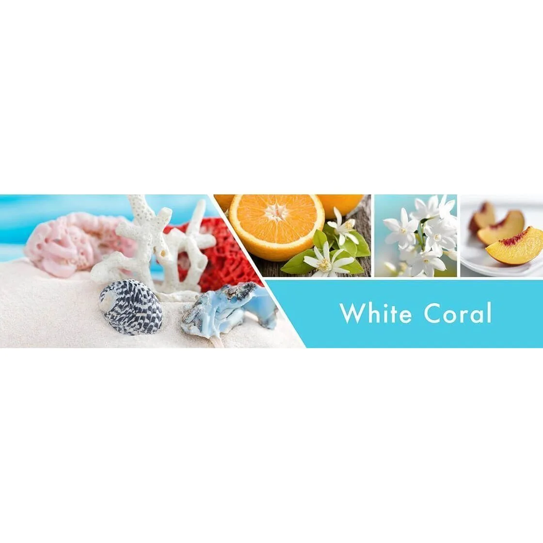 white-coral-3-docht-kerze-411g-2 White Coral 411g (3-Docht)