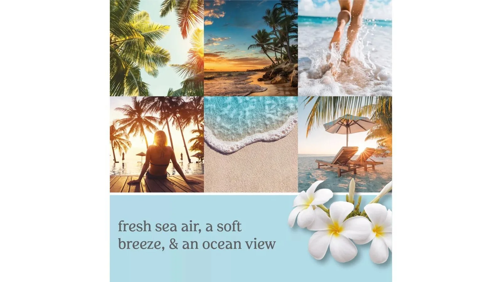bescape2 Beach Escape 623g