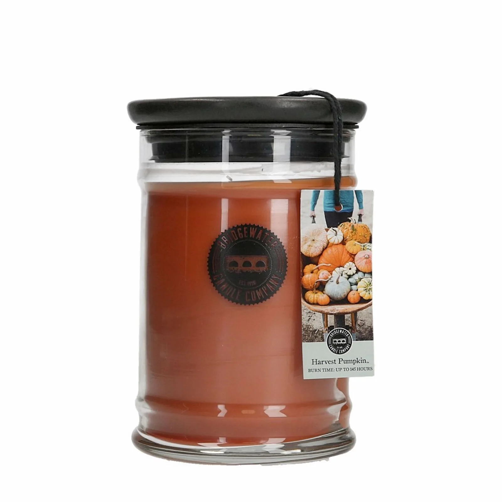 sYhtI0mc Harvest Pumpkin 524g