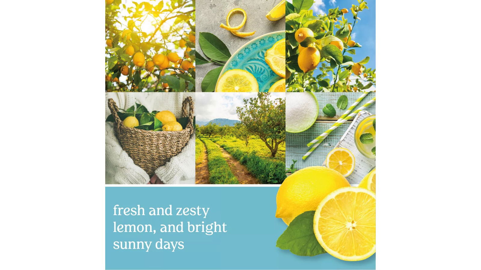 Sicilian Lemon 623g