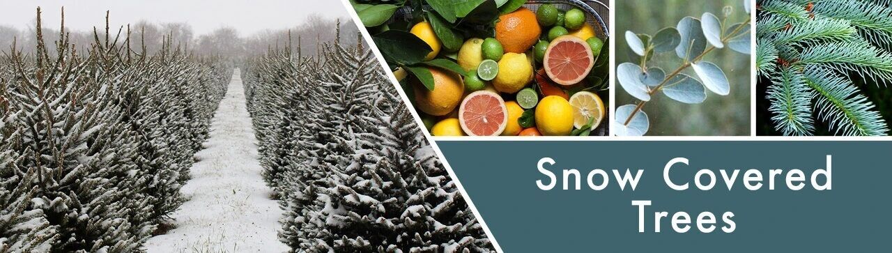 Snow-Covered-Trees-BannerzKwLNJXWESXd3 Snow Covered Trees 680g