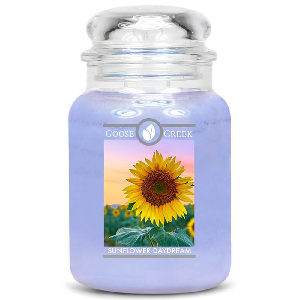 Sunflower Daydream 680g von Goose Creek Candle