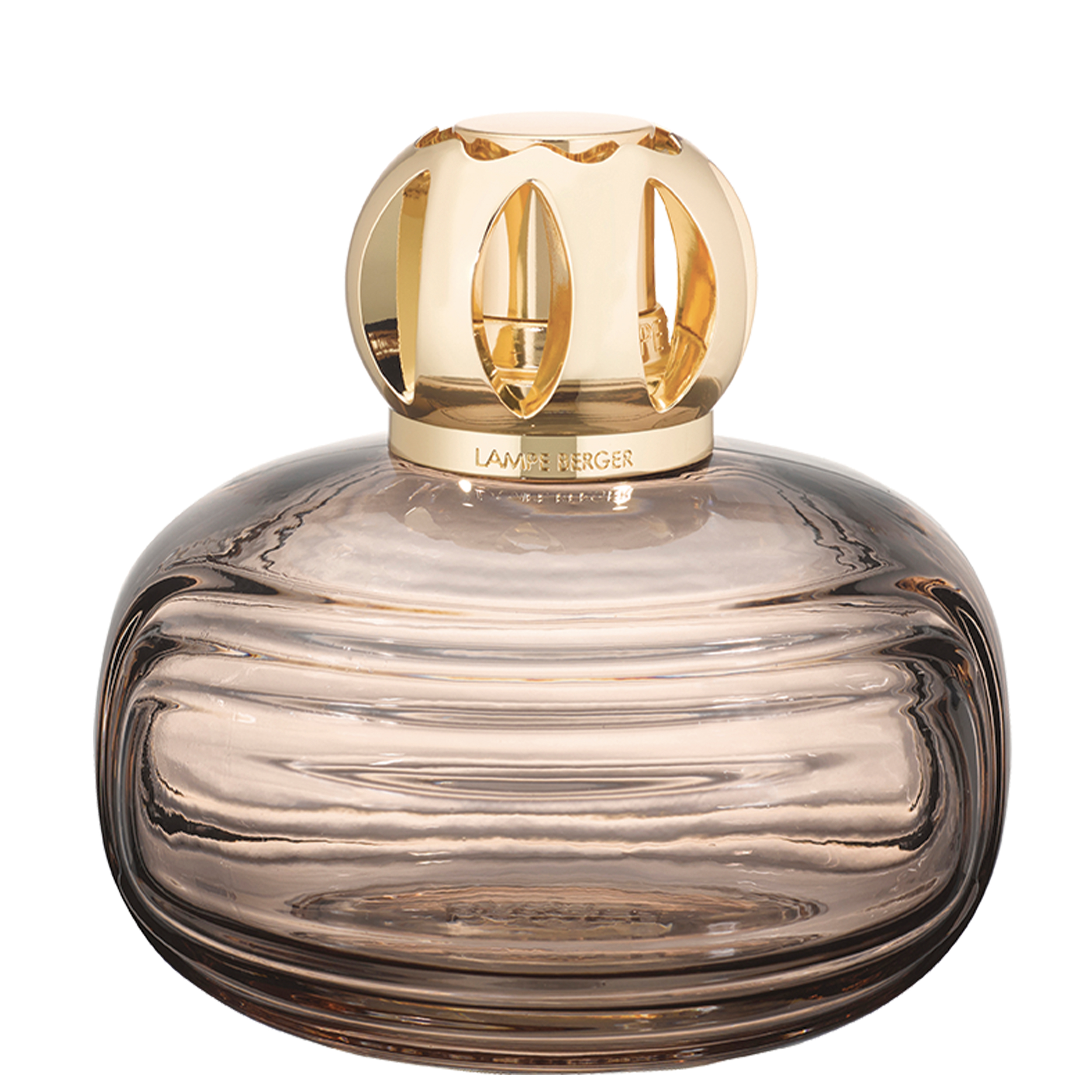 Enigma Marron Enigma Marron