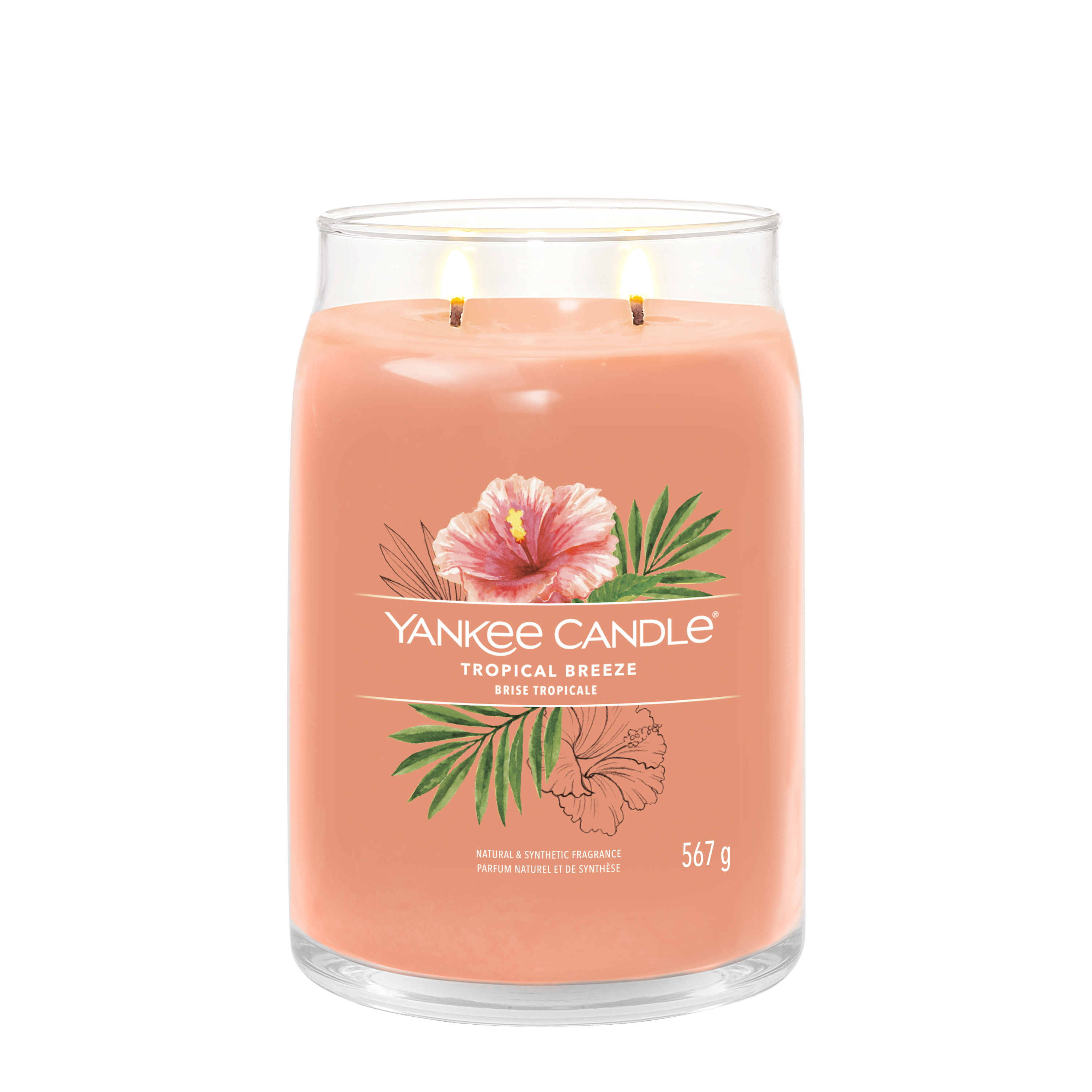 Tropical_Breeze_Large_LIT-1 Tropical Breeze Signature Large Jar 567g 2-Docht