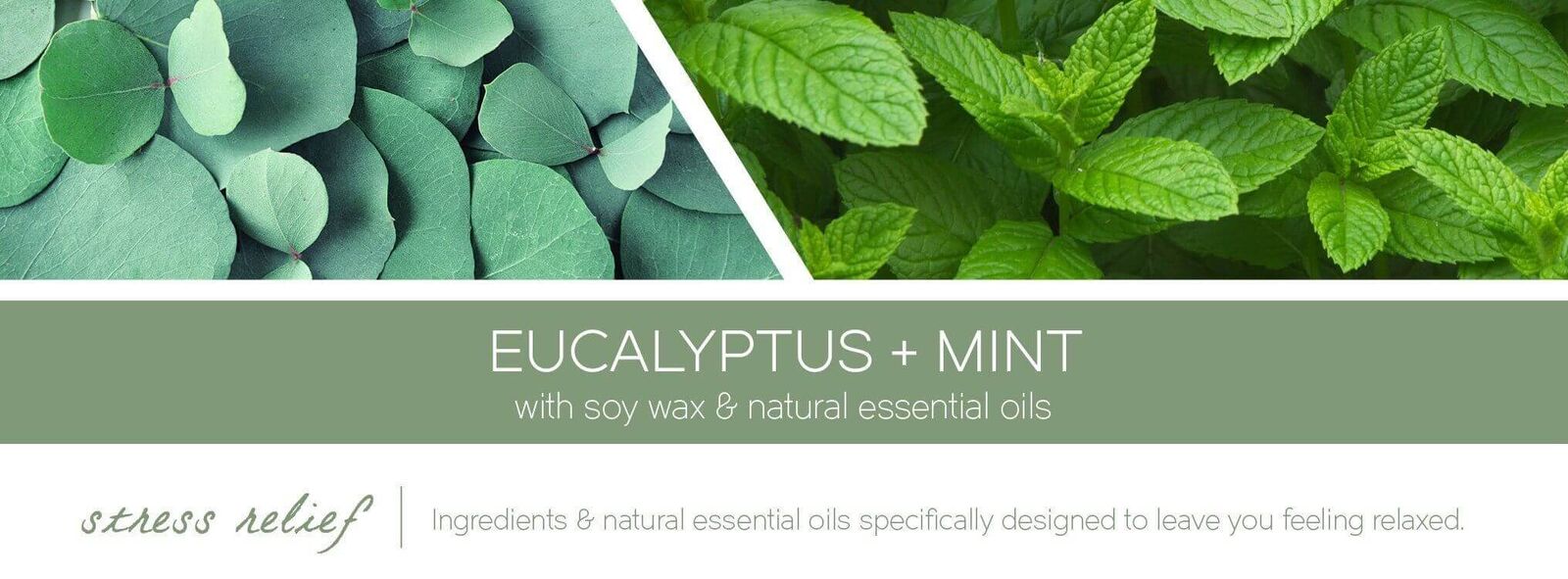 eucalyptus-mint-aromatherapy-candle-fragrancef9sfdXWEbk4zv Aroma - Eucalyptus & Mint 453g