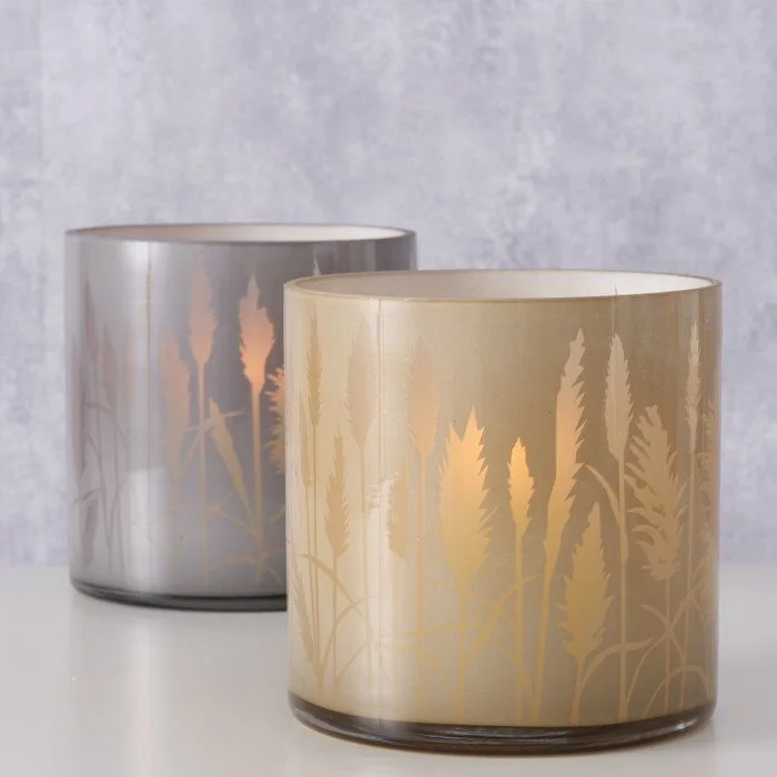 Ambientebild-vMpx9tsJ-large Windlicht Pampas grau 15cm