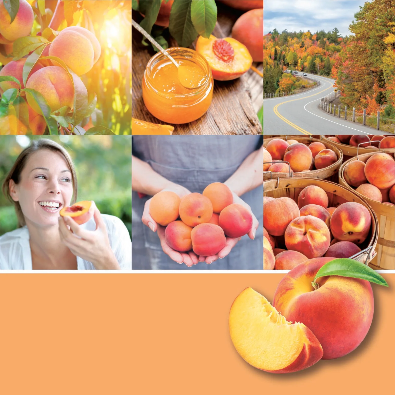 211923577_AW21_Fragrance2D_EMEA-FarmFreshPeach-NOCandle1-0 Farm Fresh Peach Signature Medium Jar 368g 2-Docht