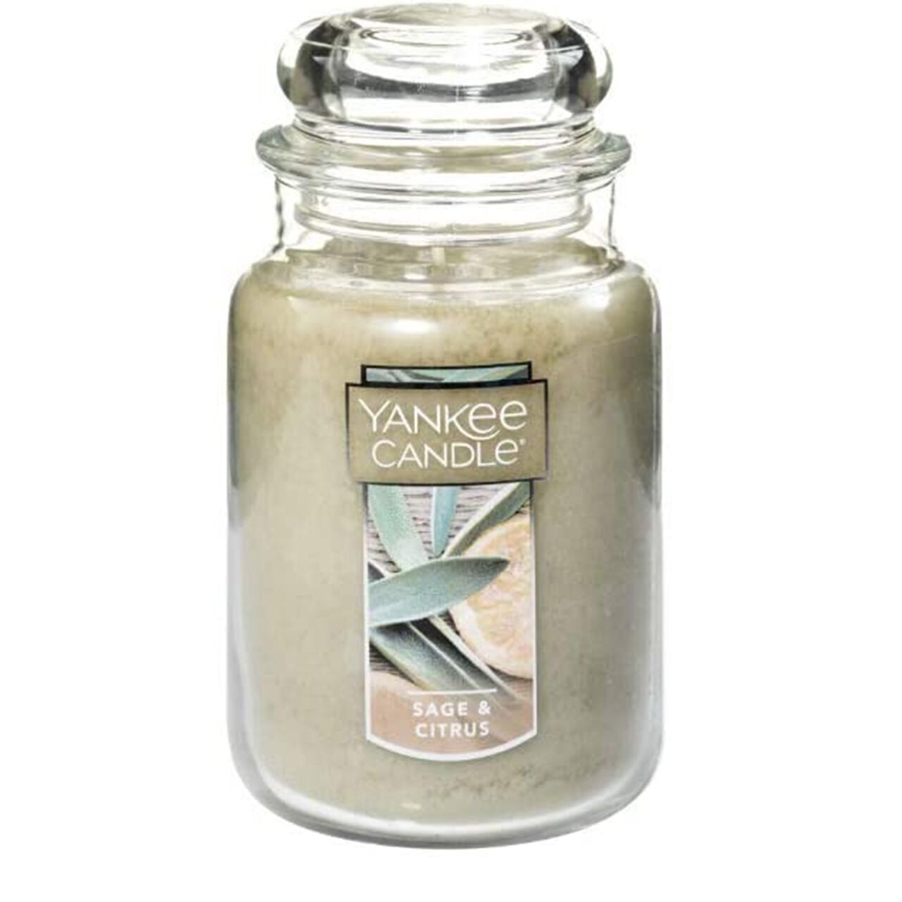 sagecitrusus1 Sage & Citrus 623g