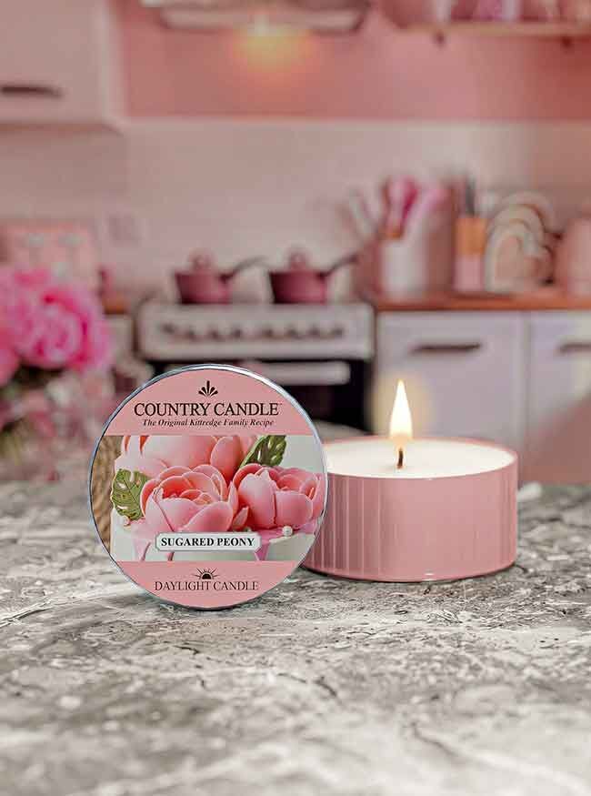 Sugared Peony Daylight 42g Leute, Person, Kerze, Blütenblatt, Pflanze
