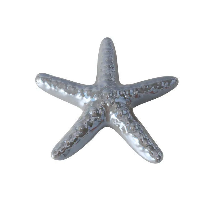 Freisteller_divers-NSsZTLvm-large Seestern Mylva 11cm grau