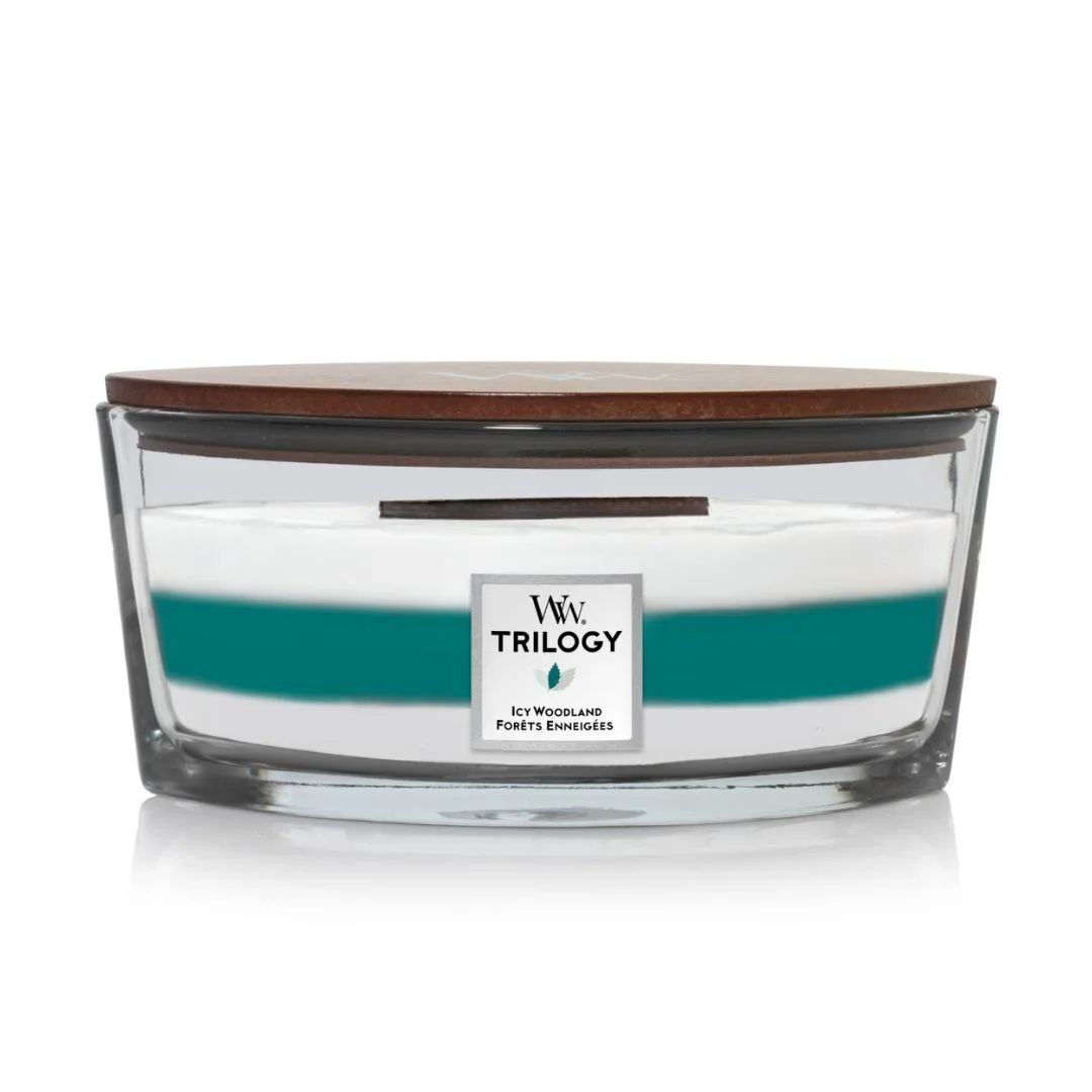 Trilogy Ellipse Candles Trilogy Ellipse Candles