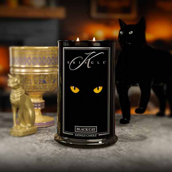 Tier, Katze, Säugetier, Haustier